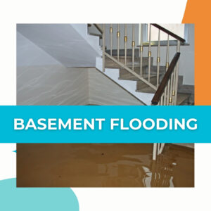 services - basement flood damage