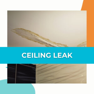 services - ceiling leak damage