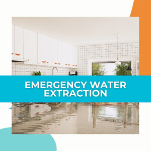 services - emergency water extraction
